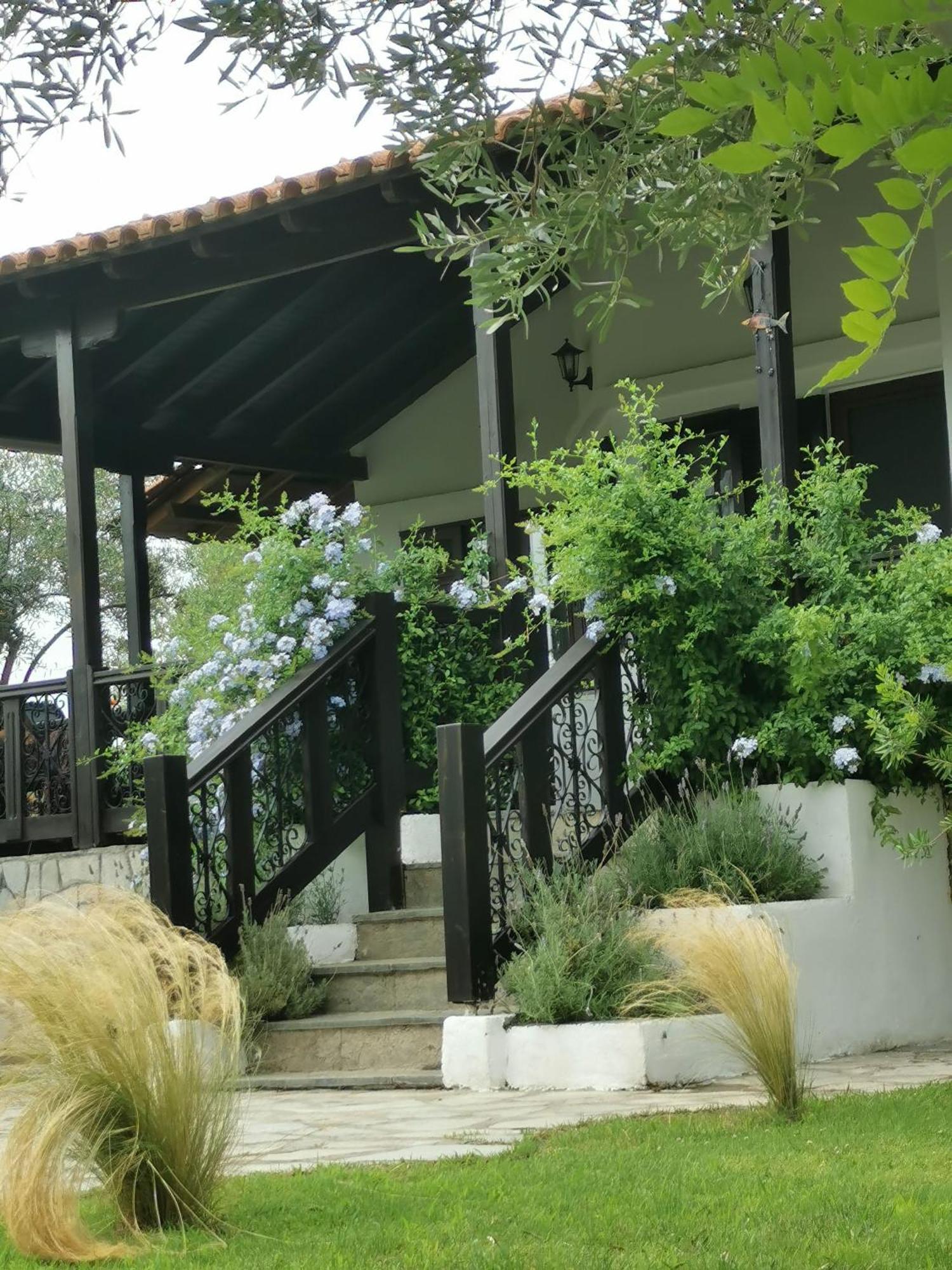 Villa Joy Ormos Panagias Exteriör bild